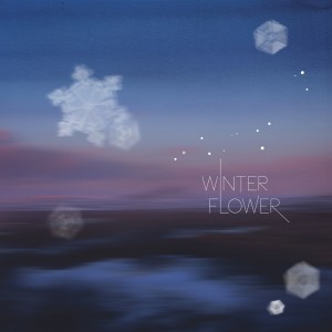 收聽박승도的Winter flower歌詞歌曲