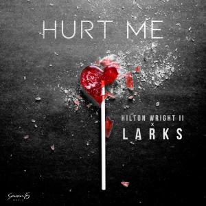 Larks的專輯Hurt Me