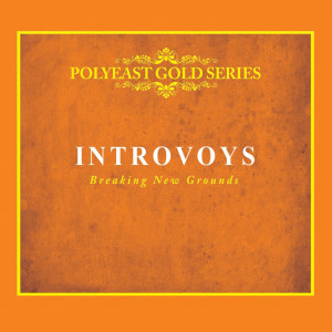 Listen to Will I Survive song with lyrics from Introvoys