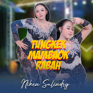 Dengarkan Tungkek Mambaok Rabah lagu dari Niken Salindry dengan lirik