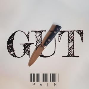 Album Gut from Palm