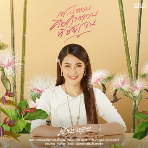 ดาวน์โหลดและฟังเพลง การบ่ตอบคือคำตอบที่ชัดเจน พร้อมเนื้อเพลงจาก เวียง นฤมล