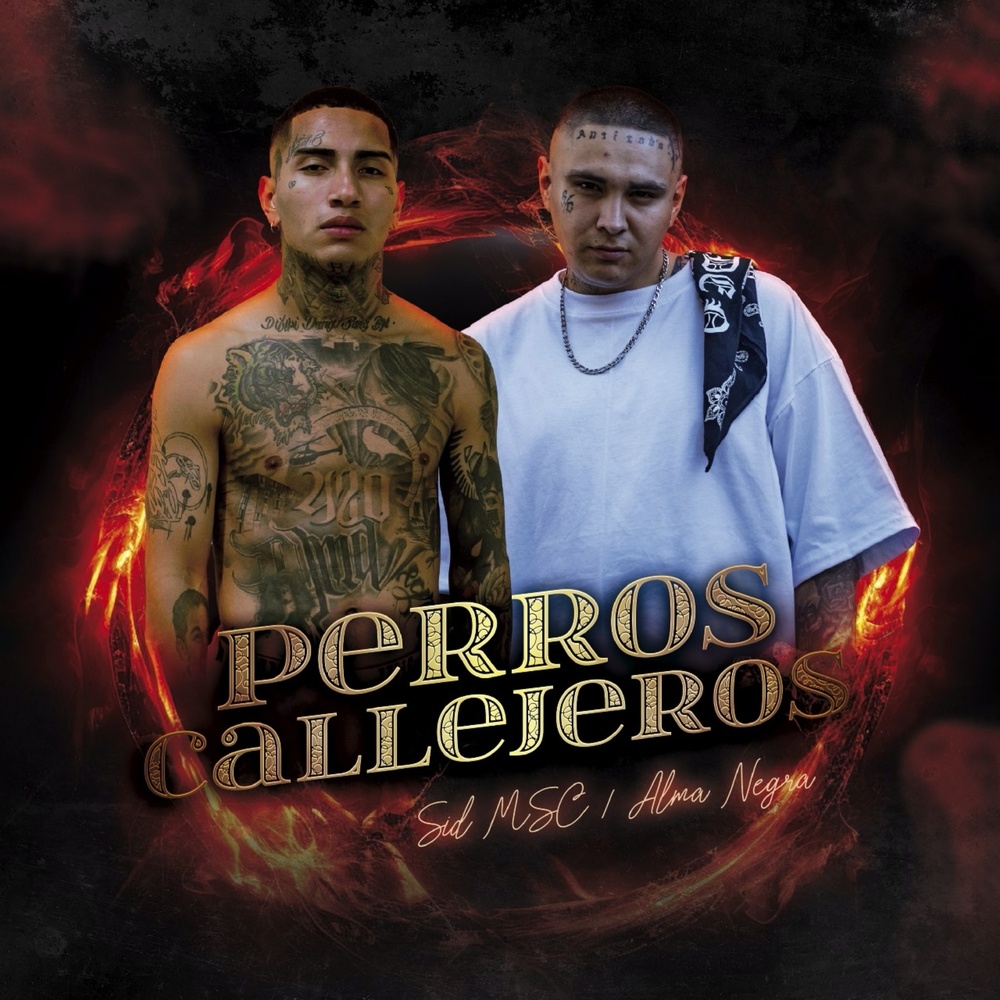 Perros Callejeros