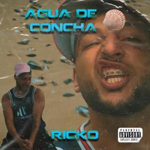 ดาวน์โหลดและฟังเพลง Agua de concha (feat. Ricko) พร้อมเนื้อเพลงจาก Mer