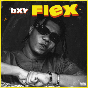 BXY的專輯Flex