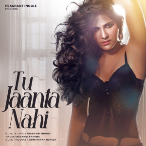 Album Tu Jaanta Nahi from Prashant Ingole