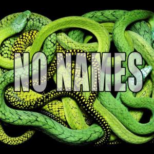 C.Shreve The Professor的專輯No Names (Explicit)