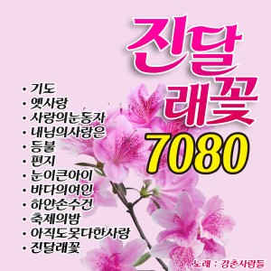 Listen to 아직도못다한사랑 song with lyrics from 송민수