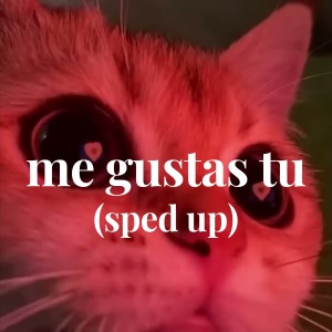 ดาวน์โหลดและฟังเพลง me gustas tu (sped up) พร้อมเนื้อเพลงจาก DJ NESTOR