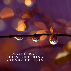 Album Rainy Day Bliss: Soothing Sounds of Rain oleh Gentle Rain Makers