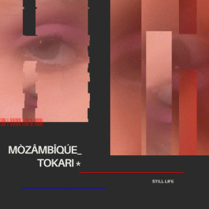 Listen to Still Life song with lyrics from MÒZÂMBÎQÚE