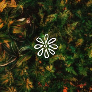 ดาวน์โหลดและฟังเพลง It's Time พร้อมเนื้อเพลงจาก BLCK MNDRN