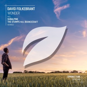 Listen to Wonder (The Stumps pres. BounceCraft Remix) song with lyrics from David Folkebrant