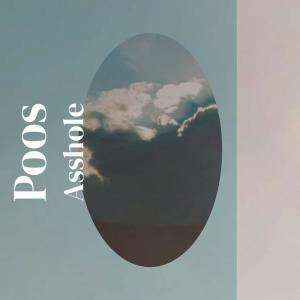 Listen to Poos Asshole song with lyrics from Asefa Heert