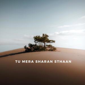 Josin的專輯Tu Mera Sharan Sthaan (Radio Edit)