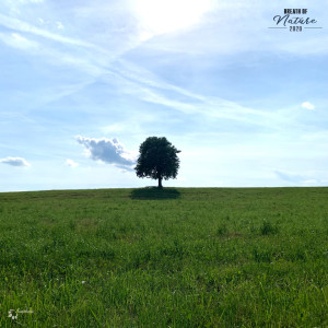 Listen to In Low Light song with lyrics from Pique Dame
