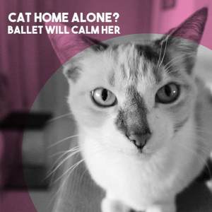 Cat Home Alone?  Ballet Will Calm Her