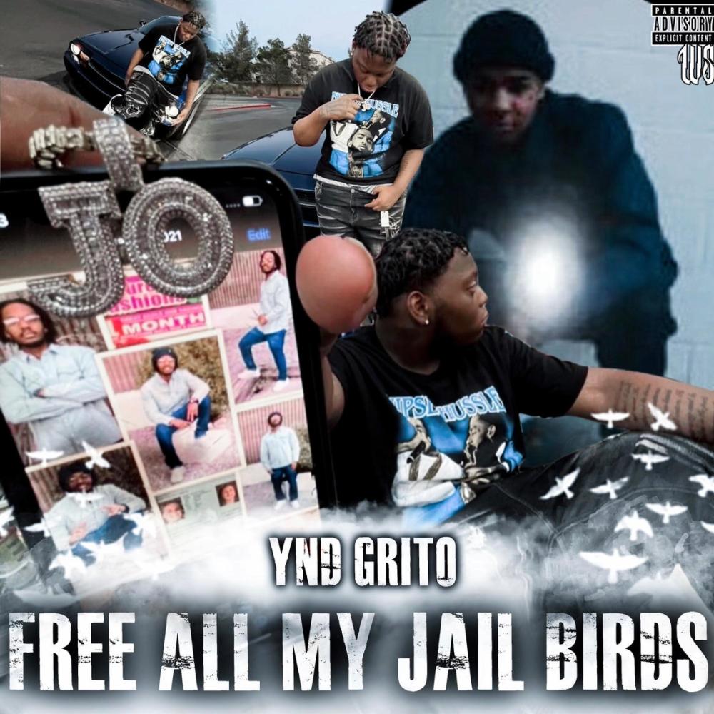 Free All My Jail Birds (Explicit)