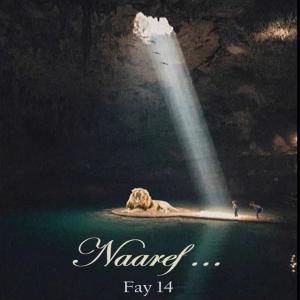 Fay 14的專輯NAAREF