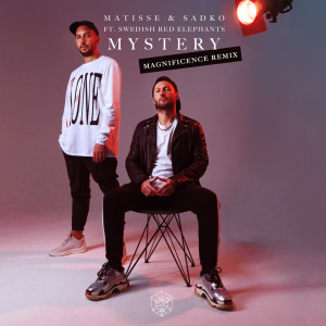 ดาวน์โหลดและฟังเพลง Mystery (Magnificence Remix) พร้อมเนื้อเพลงจาก Matisse & Sadko