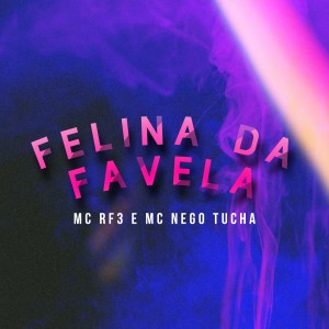 Album Felina da Favela (Explicit) from 