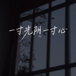 Listen to 一寸光阴一寸心 song with lyrics from 艾可薇