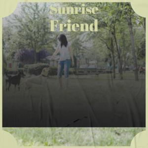 Listen to Nigh Anyone song with lyrics from Laise