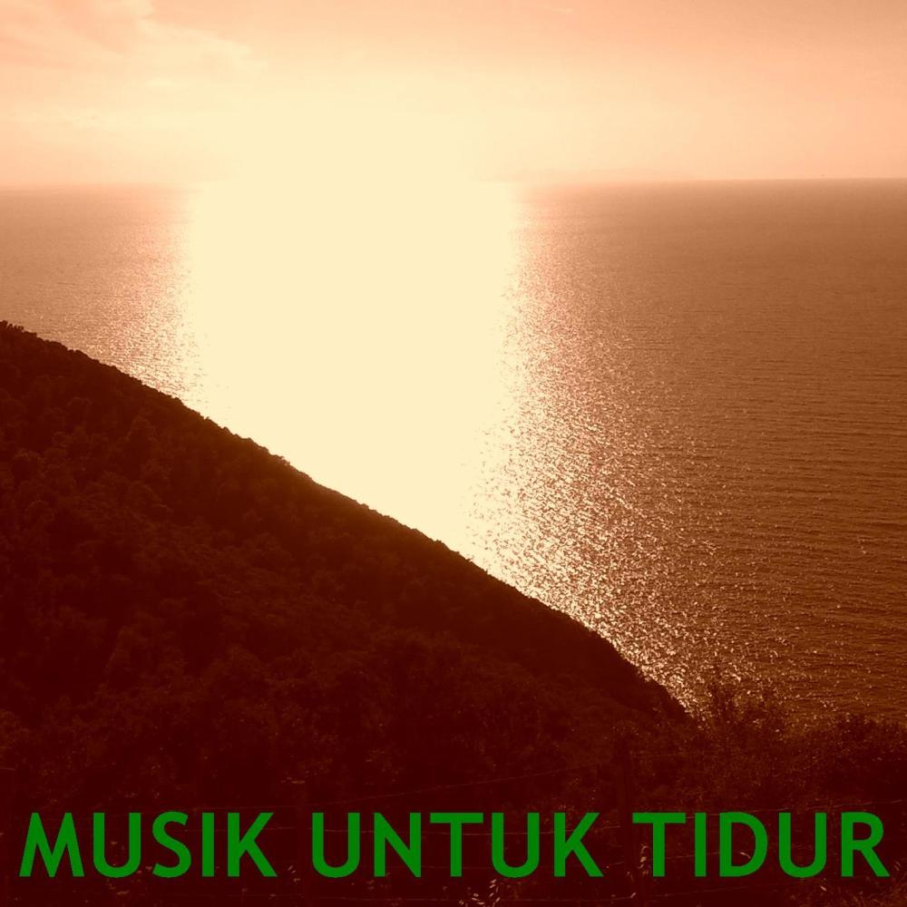 Musik Untuk Tidur