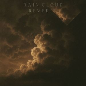 Listen to Lullaby in Rain song with lyrics from Stillness Sanctuary