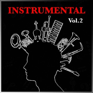 อัลบัม Instrumental, vol. 2 ศิลปิน Pascal Tippel