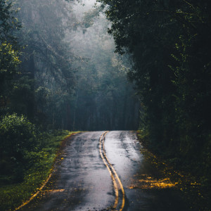 Listen to Feel Good song with lyrics from Meditation Rain Sounds