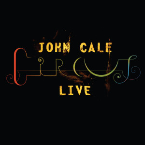 ดาวน์โหลดและฟังเพลง Hush (Live) พร้อมเนื้อเพลงจาก John Cale