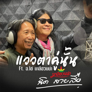 Listen to แววตาคู่นั้น Ft. อ.ไข่ มาลีฮวนน่า song with lyrics from 