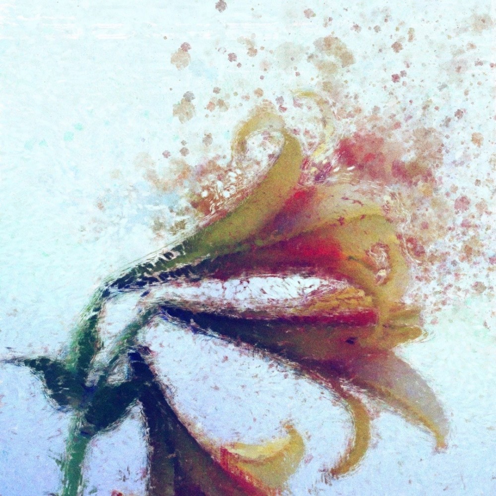 梦一澈