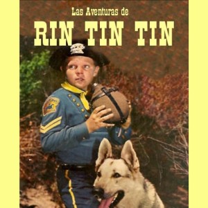收聽Ray Carter的The Adventure Of Rin Tin Tin The Deserter 1954 -1959 Tv Series Sigla歌詞歌曲