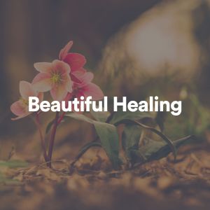 Album Beautiful Healing from Sleep Music Lullabies