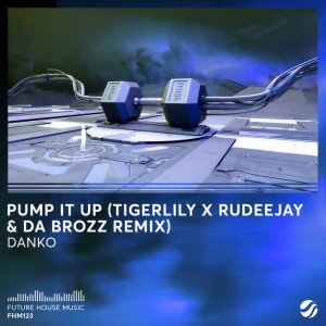 ดาวน์โหลดและฟังเพลง Pump It Up (Tigerlily, Rudeejay, Da Brozz Remix) พร้อมเนื้อเพลงจาก Danko