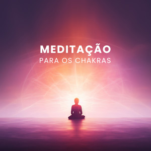 Tempo de Música Oriental的专辑Meditação para os Chakras (Bem Estar Emocional)