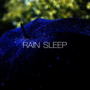 收聽Rain Sleep的Window Raindrops歌詞歌曲