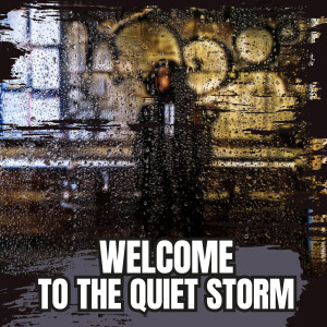 Various的專輯Welcome To The Quiet Storm (Explicit)