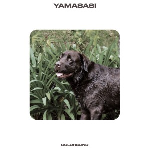 ดาวน์โหลดและฟังเพลง Lost Boys พร้อมเนื้อเพลงจาก Yamasasi