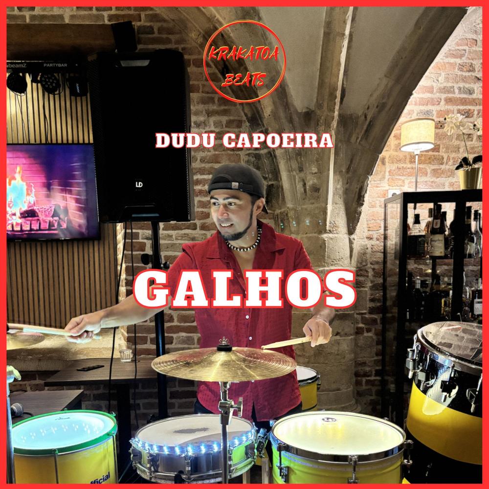 Galhos