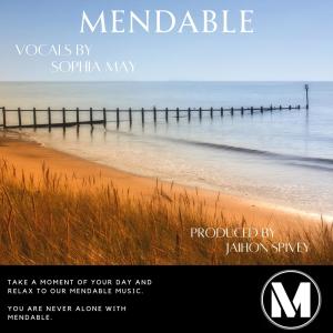 ดาวน์โหลดและฟังเพลง Mendable พร้อมเนื้อเพลงจาก Sophia May