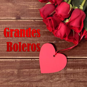Listen to Alma, Corazón y Vida song with lyrics from Trio Siboney