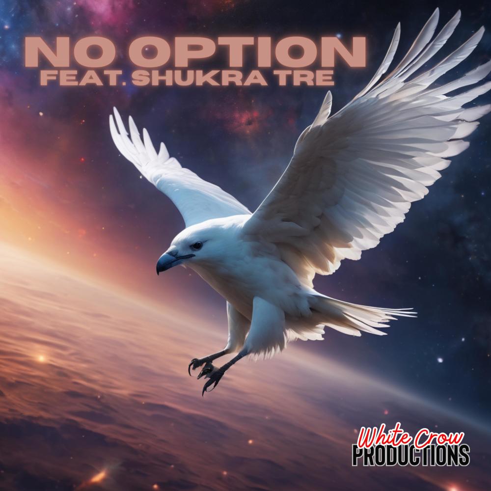 No Option (Explicit)