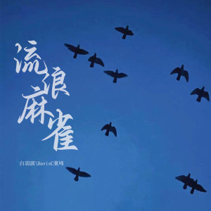 Album 流浪麻雀 from DavisC東咚
