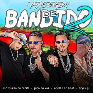 收聽Apelão no Beat的Pincelada De Bandido 2 (Explicit)歌詞歌曲