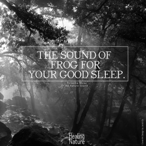 Listen to The Sound of Nature That Relaxes The Evening song with lyrics from 힐링 네이쳐 Nature Sound Band
