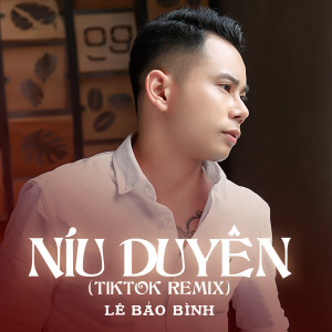 ดาวน์โหลดและฟังเพลง Níu Duyên (TikTok Remix) พร้อมเนื้อเพลงจาก Le Bao Binh