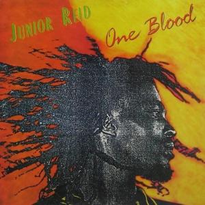 ดาวน์โหลดและฟังเพลง A Nuh So (Alternative Mix) พร้อมเนื้อเพลงจาก Junior Reid